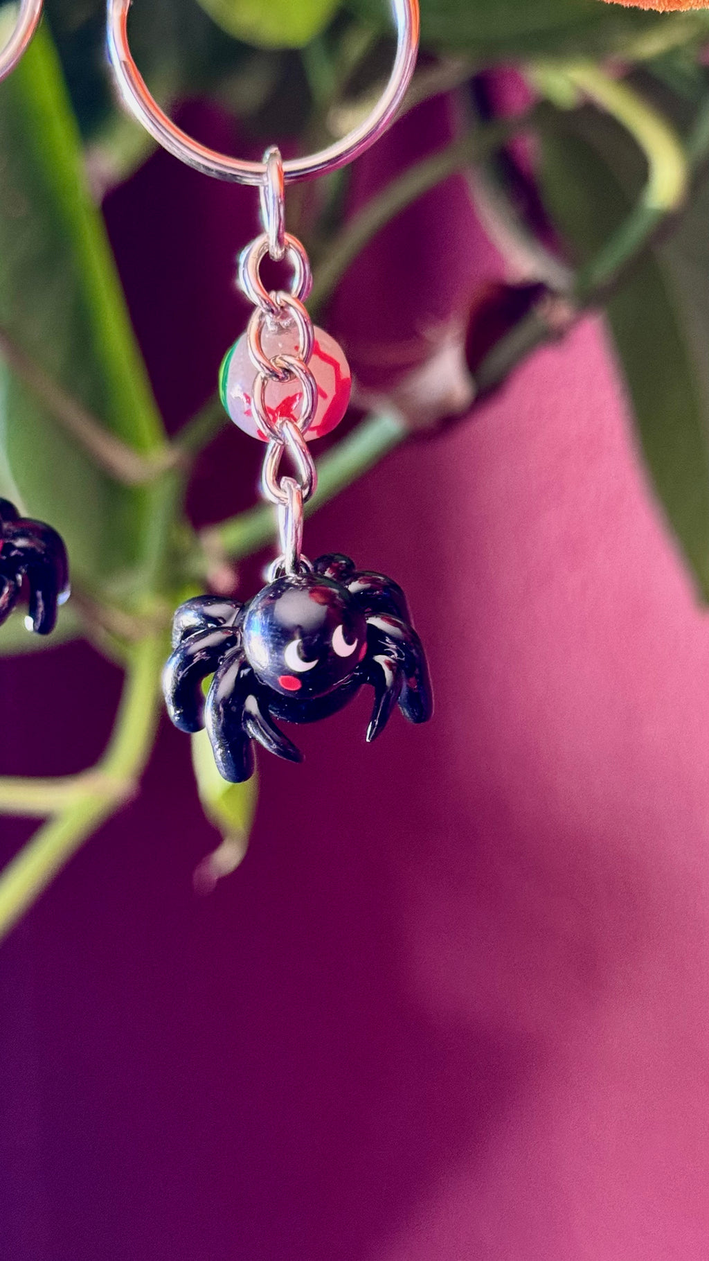 EYE Spy Spider